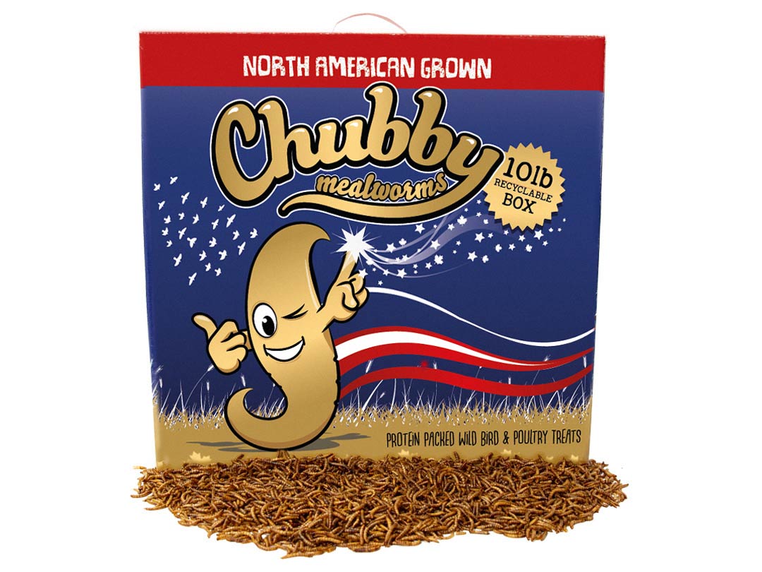 10Lb Recyclable Box of Chubby NA Grown Dried Mealworms (Non-GMO) - Currently supplied in plain bags