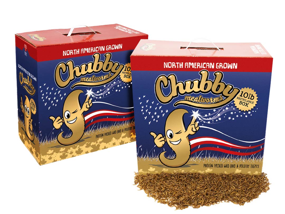 20Lbs Chubby North American Dried Mealworms (Montreal Grown) Recyclable Boxes Non-GMO