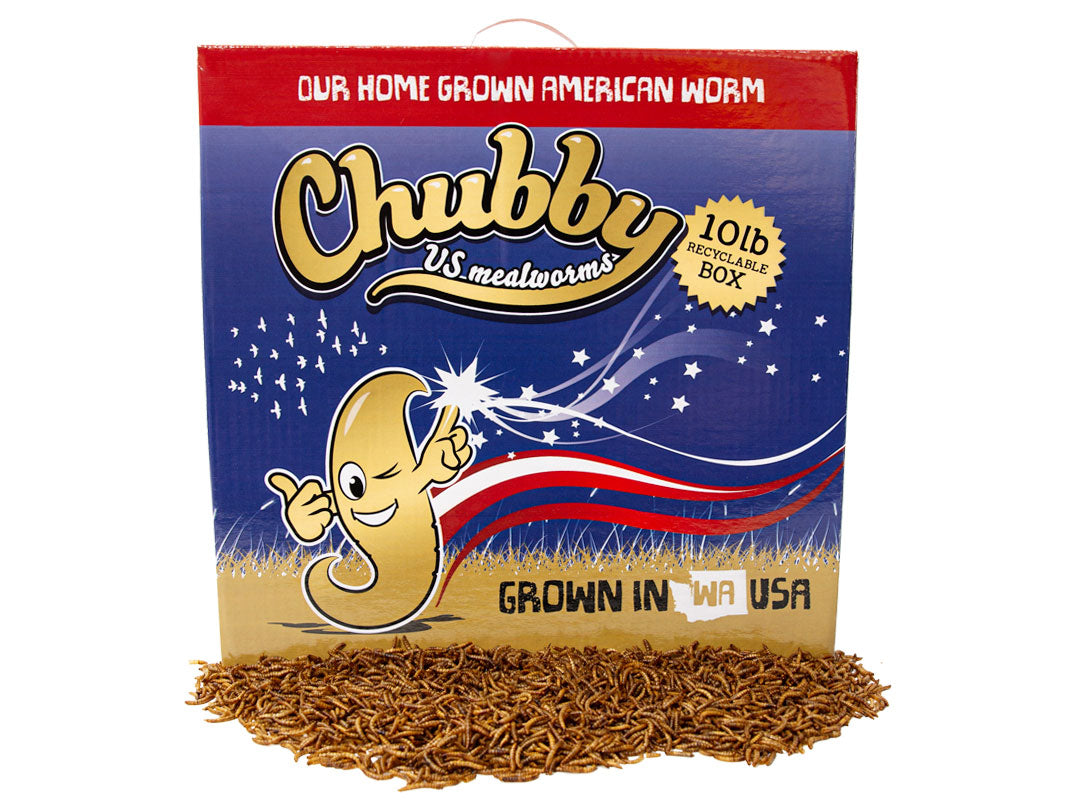 10Lb Recyclable Box of Chubby US Grown Dried Mealworms (Non-GMO)